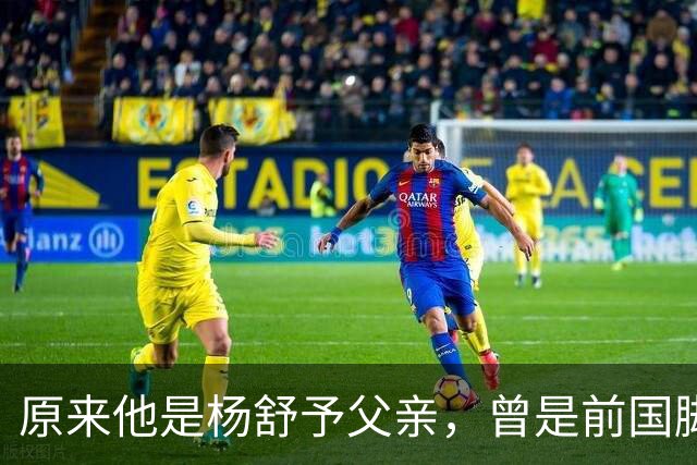 原来他是杨舒予父亲，曾是前国脚，为女儿们搬家广州，已去世1年